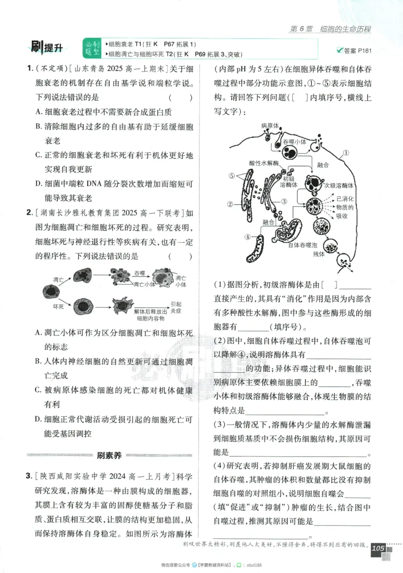 2026版《高中必刷题》生物RJ必修1_生物_2026版高中必刷题生物人教版_2026版高中必刷题生物必修1RJ