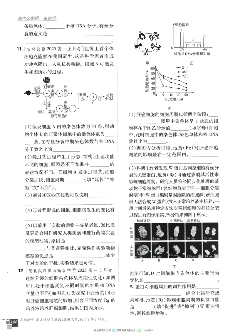 2026版《高中必刷题》生物RJ必修1_生物_2026版高中必刷题生物人教版_2026版高中必刷题生物必修1RJ