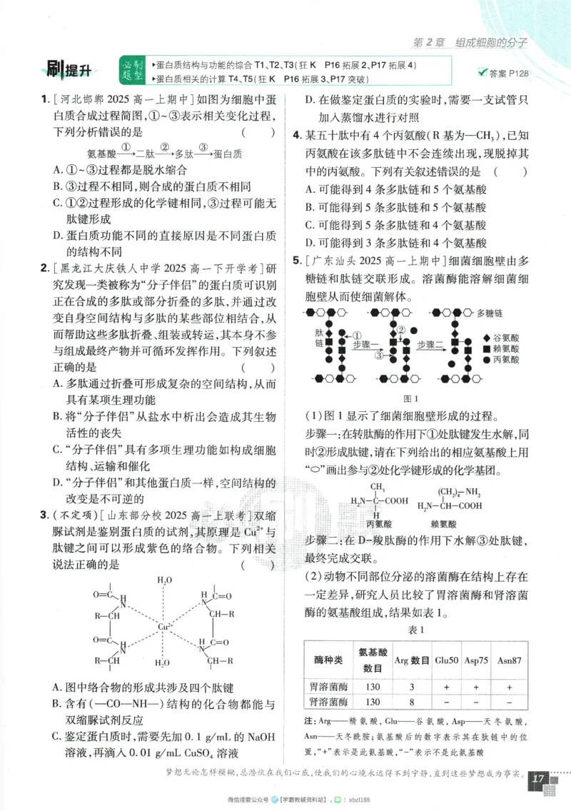 2026版《高中必刷题》生物RJ必修1_生物_2026版高中必刷题生物人教版_2026版高中必刷题生物必修1RJ