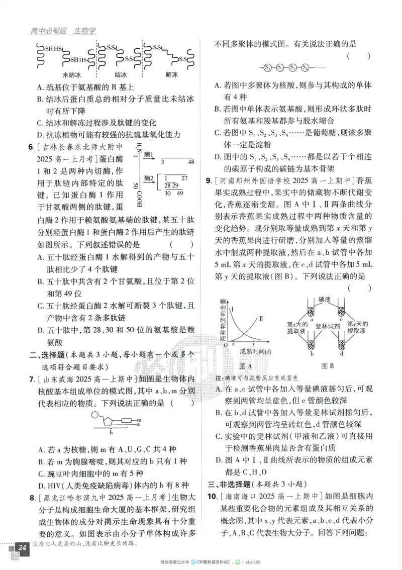 2026版《高中必刷题》生物RJ必修1_生物_2026版高中必刷题生物人教版_2026版高中必刷题生物必修1RJ