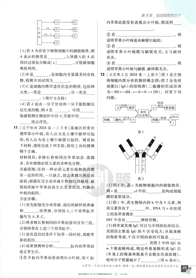2026版《高中必刷题》生物RJ必修1_生物_2026版高中必刷题生物人教版_2026版高中必刷题生物必修1RJ