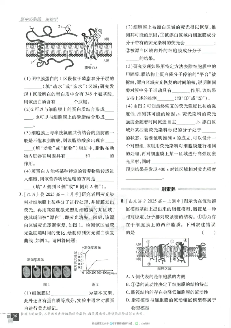 2026版《高中必刷题》生物RJ必修1_生物_2026版高中必刷题生物人教版_2026版高中必刷题生物必修1RJ
