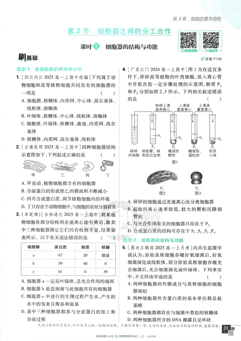 2026版《高中必刷题》生物RJ必修1_生物_2026版高中必刷题生物人教版_2026版高中必刷题生物必修1RJ