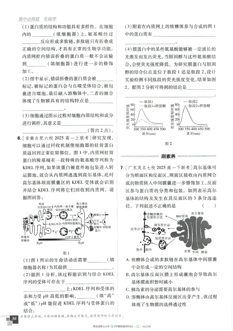 2026版《高中必刷题》生物RJ必修1_生物_2026版高中必刷题生物人教版_2026版高中必刷题生物必修1RJ