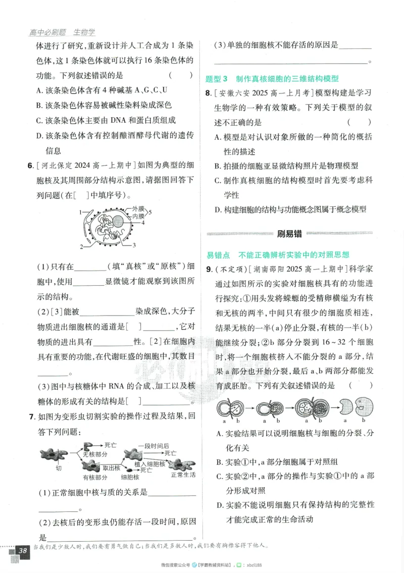 2026版《高中必刷题》生物RJ必修1_生物_2026版高中必刷题生物人教版_2026版高中必刷题生物必修1RJ