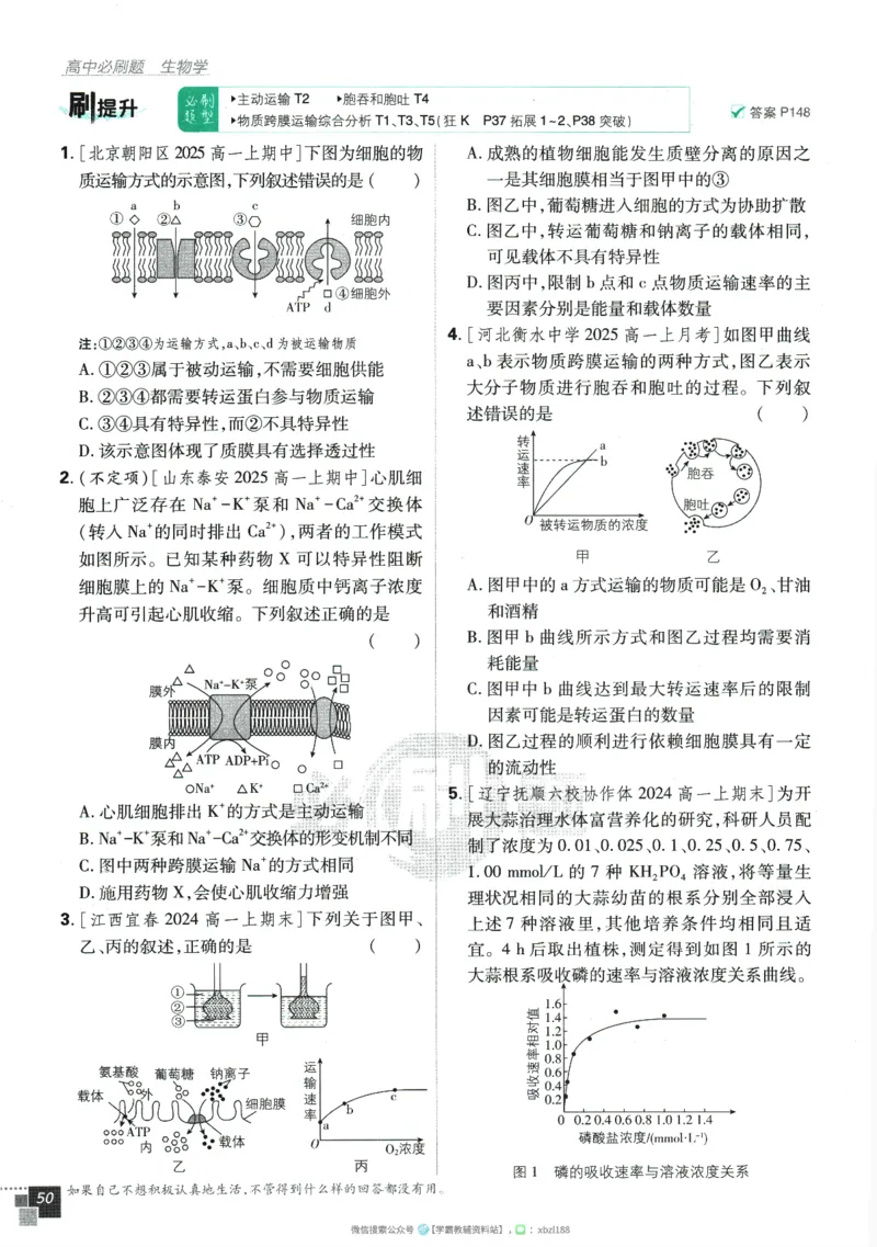 2026版《高中必刷题》生物RJ必修1_生物_2026版高中必刷题生物人教版_2026版高中必刷题生物必修1RJ