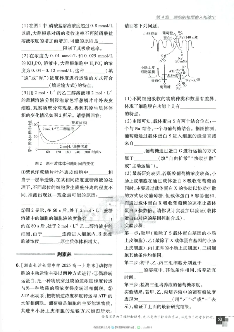 2026版《高中必刷题》生物RJ必修1_生物_2026版高中必刷题生物人教版_2026版高中必刷题生物必修1RJ
