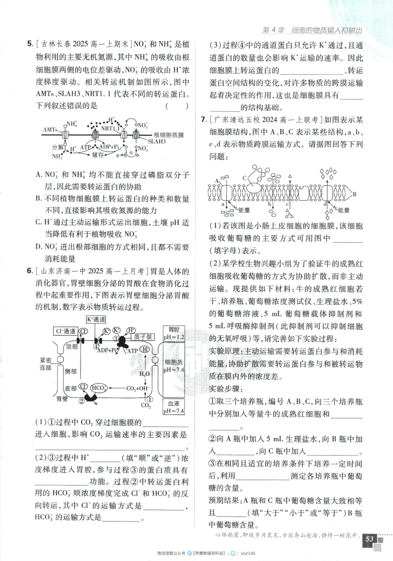 2026版《高中必刷题》生物RJ必修1_生物_2026版高中必刷题生物人教版_2026版高中必刷题生物必修1RJ