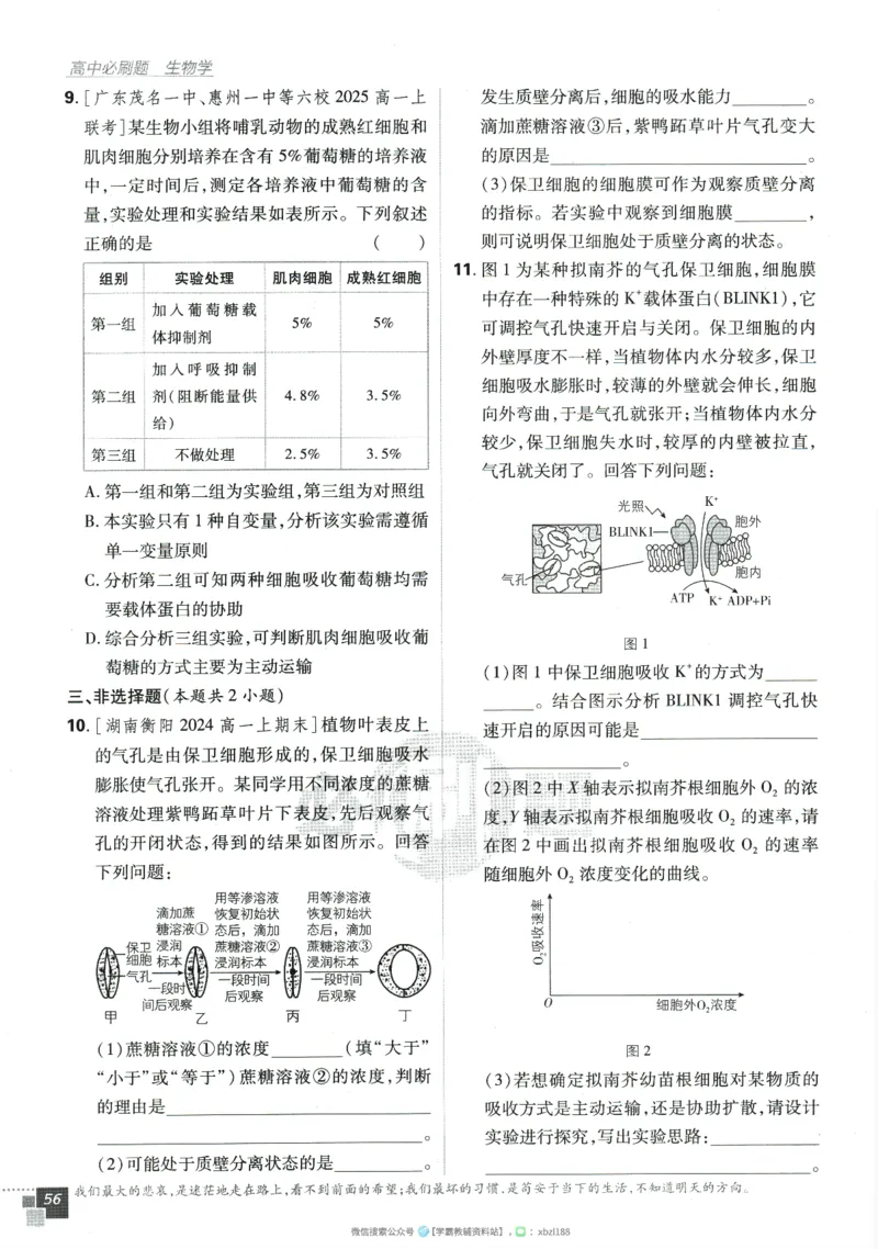 2026版《高中必刷题》生物RJ必修1_生物_2026版高中必刷题生物人教版_2026版高中必刷题生物必修1RJ