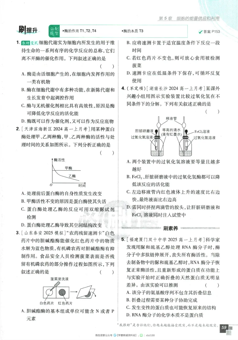 2026版《高中必刷题》生物RJ必修1_生物_2026版高中必刷题生物人教版_2026版高中必刷题生物必修1RJ