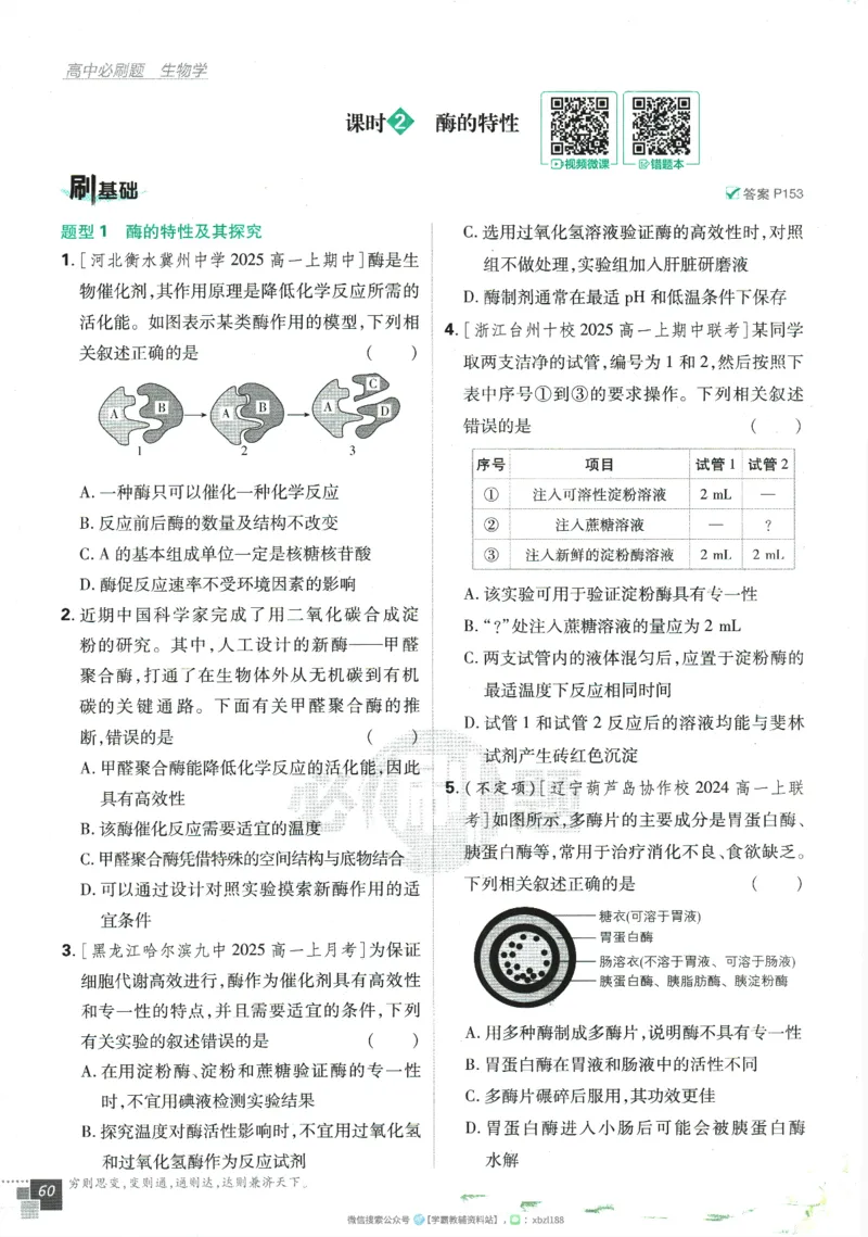 2026版《高中必刷题》生物RJ必修1_生物_2026版高中必刷题生物人教版_2026版高中必刷题生物必修1RJ