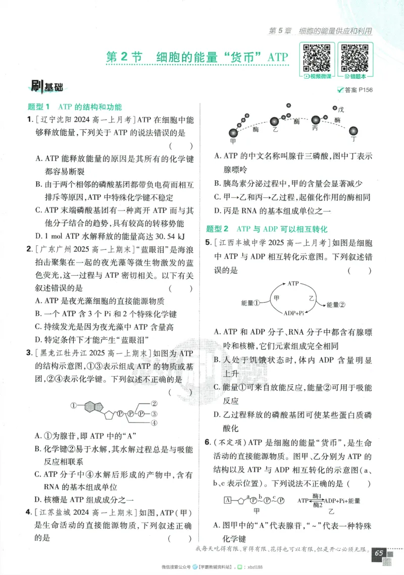 2026版《高中必刷题》生物RJ必修1_生物_2026版高中必刷题生物人教版_2026版高中必刷题生物必修1RJ