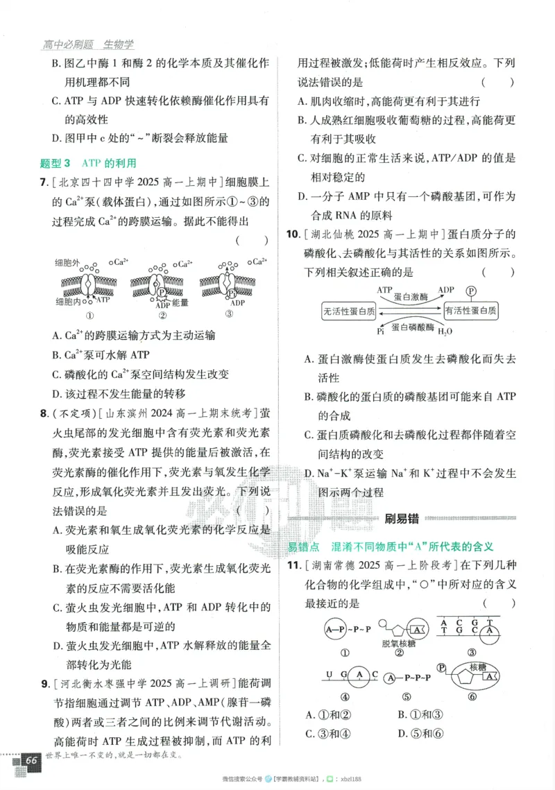 2026版《高中必刷题》生物RJ必修1_生物_2026版高中必刷题生物人教版_2026版高中必刷题生物必修1RJ