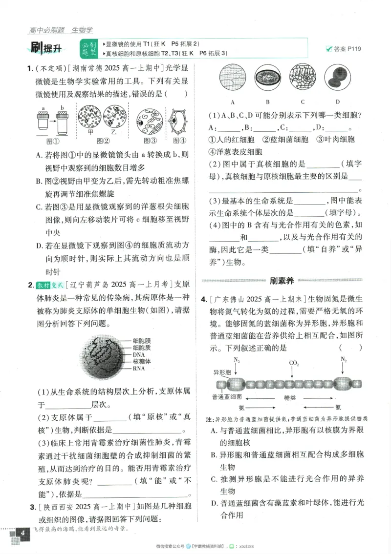 2026版《高中必刷题》生物RJ必修1_生物_2026版高中必刷题生物人教版_2026版高中必刷题生物必修1RJ