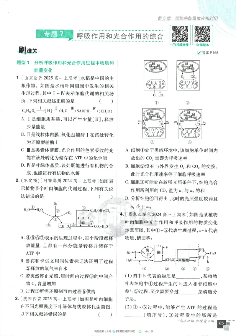 2026版《高中必刷题》生物RJ必修1_生物_2026版高中必刷题生物人教版_2026版高中必刷题生物必修1RJ