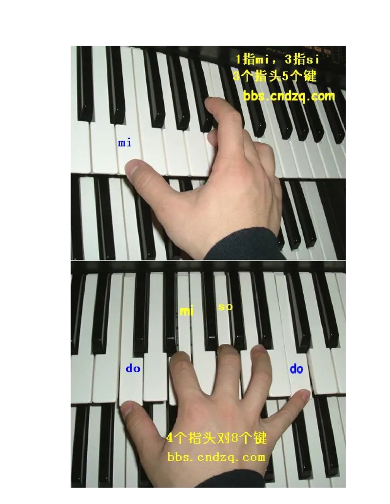 手把手教你钢琴基本指法(有图有真相_通俗易懂_钢琴入门必备)_一万首著名钢琴曲谱哈农贝多芬合集视频教学电子版高清无水印可打印_09钢琴教材合集_常用教材钢琴谱（80+本）