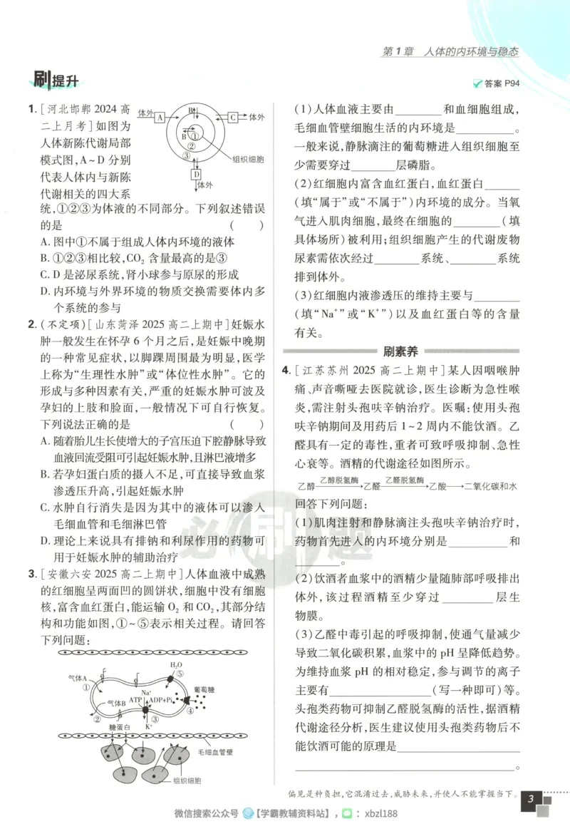 主书_生物_2026版高中必刷题生物人教版_2026版高中必刷题生物选修1RJ