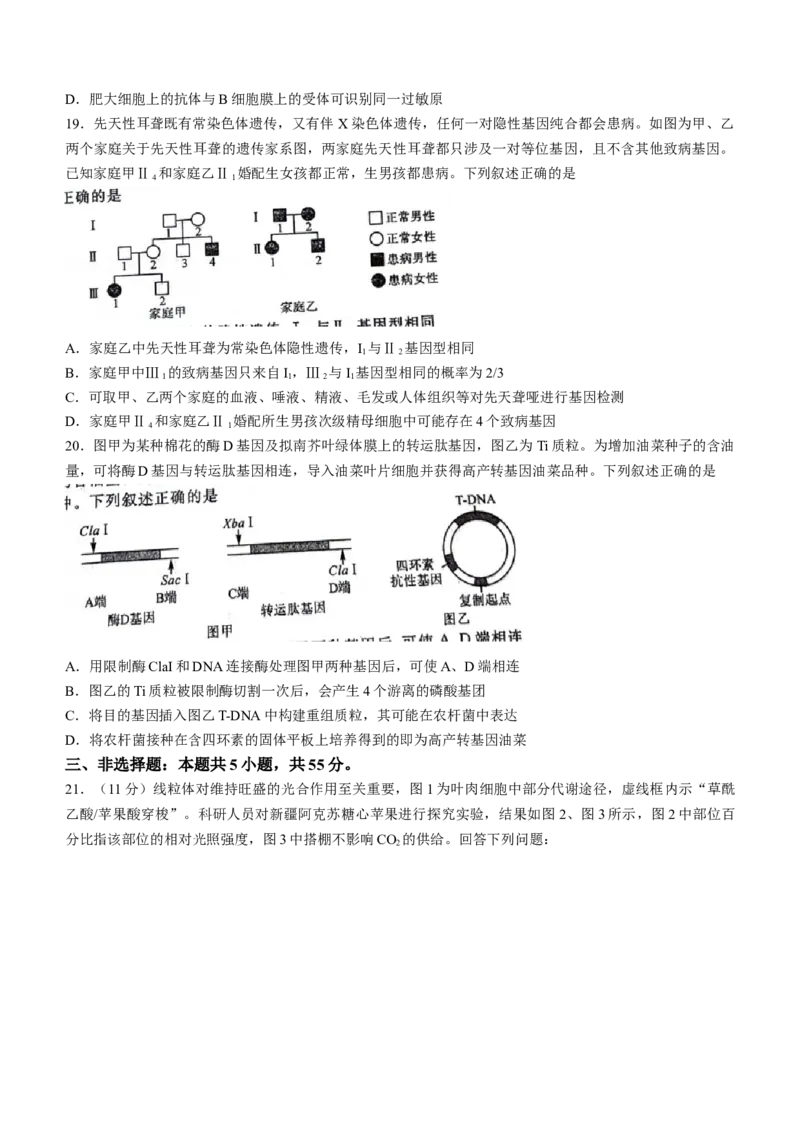 黑龙江省齐齐哈尔市2024届高三下学期二模考试生物试题(无答案)_2024年3月_013月合集_2024届黑龙江省齐齐哈尔市高三下学期二模考试_黑龙江省齐齐哈尔市2024届高三下学期二模考试生物