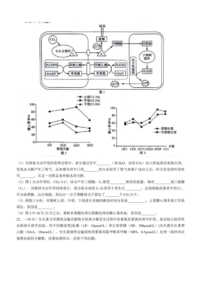 黑龙江省齐齐哈尔市2024届高三下学期二模考试生物试题(无答案)_2024年3月_013月合集_2024届黑龙江省齐齐哈尔市高三下学期二模考试_黑龙江省齐齐哈尔市2024届高三下学期二模考试生物
