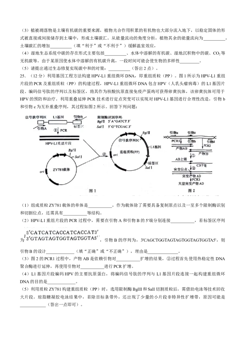 黑龙江省齐齐哈尔市2024届高三下学期二模考试生物试题(无答案)_2024年3月_013月合集_2024届黑龙江省齐齐哈尔市高三下学期二模考试_黑龙江省齐齐哈尔市2024届高三下学期二模考试生物