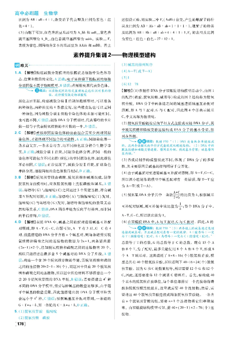 素养提升集训2&mdash;&mdash;物理模型建构(1)_生物_2026版高中必刷题生物人教版_2026春高中必刷题生物必修2RJ_2026版高中《必刷题》教材同步版（生物）（必修2）