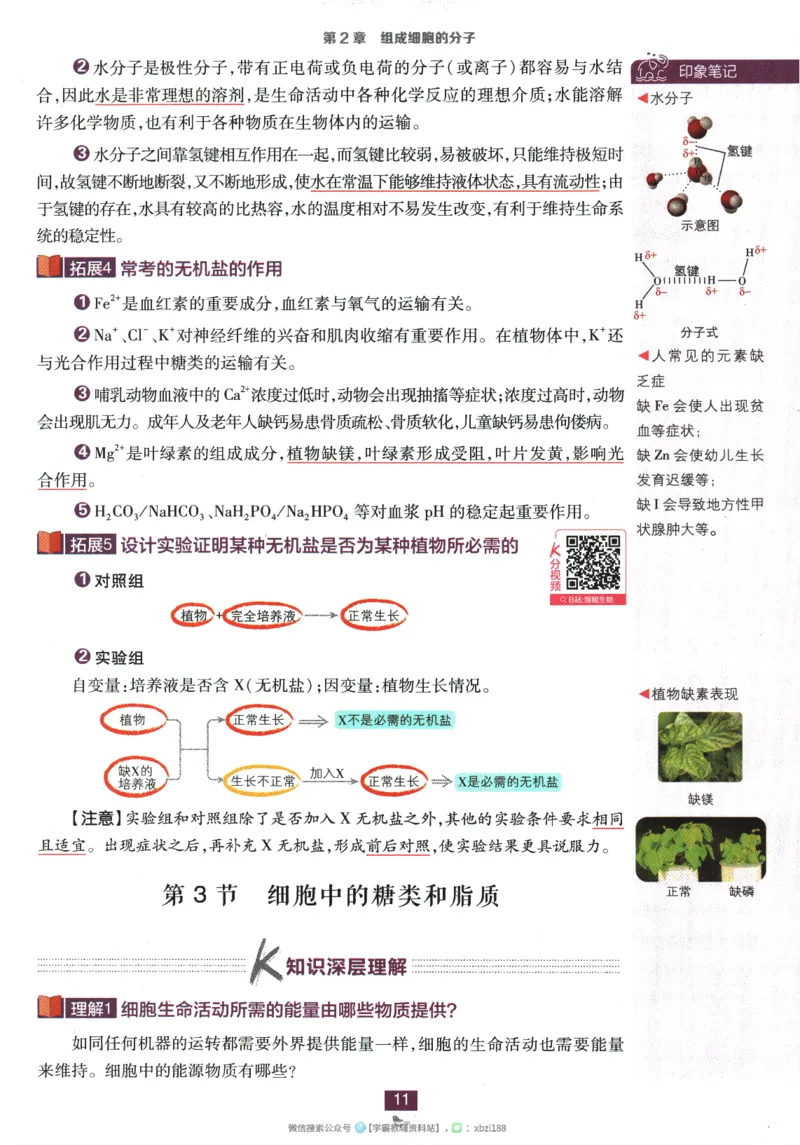 2026版《高中必刷题》生物RJ必修1狂K重点_生物_2026版高中必刷题生物人教版_2026版高中必刷题生物必修1RJ