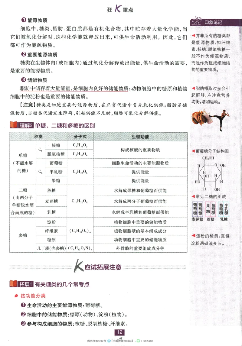 2026版《高中必刷题》生物RJ必修1狂K重点_生物_2026版高中必刷题生物人教版_2026版高中必刷题生物必修1RJ