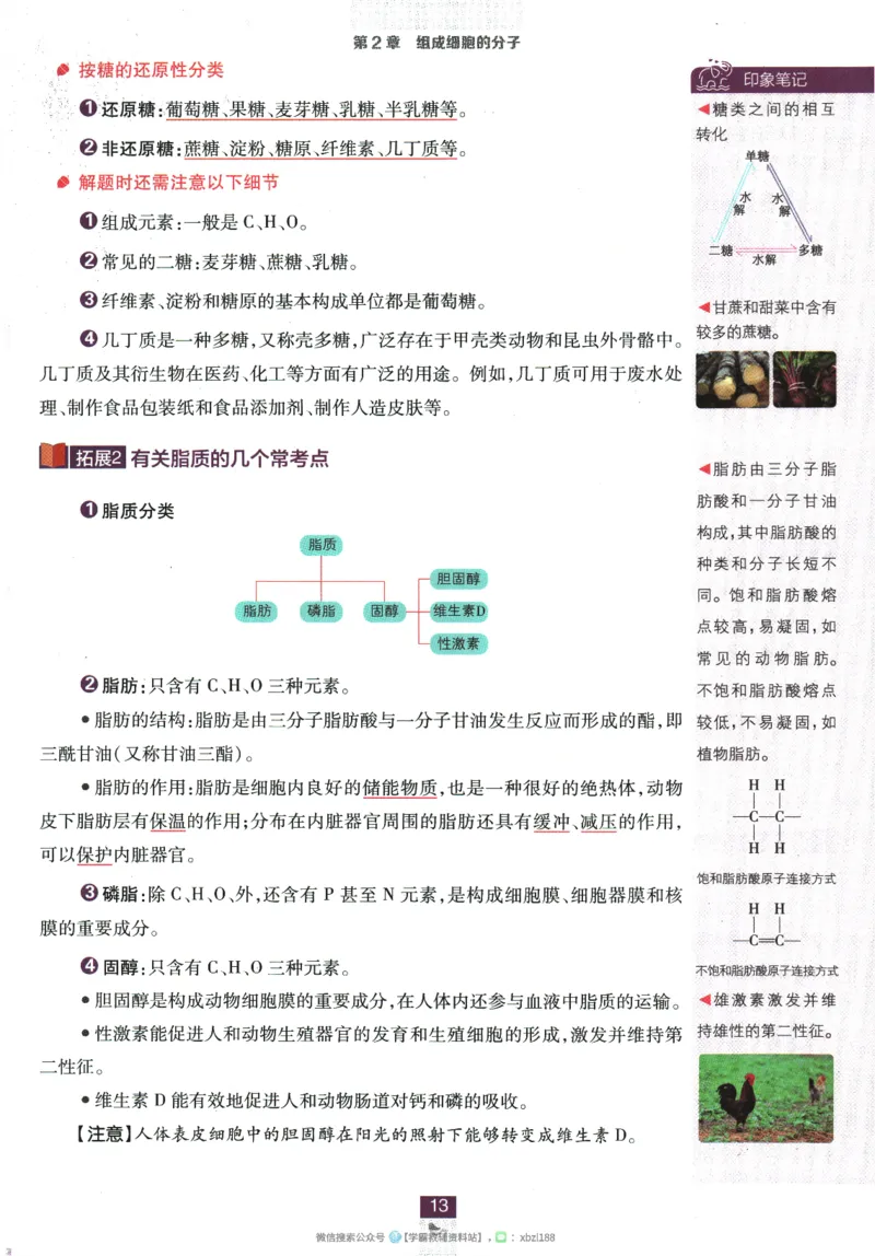 2026版《高中必刷题》生物RJ必修1狂K重点_生物_2026版高中必刷题生物人教版_2026版高中必刷题生物必修1RJ