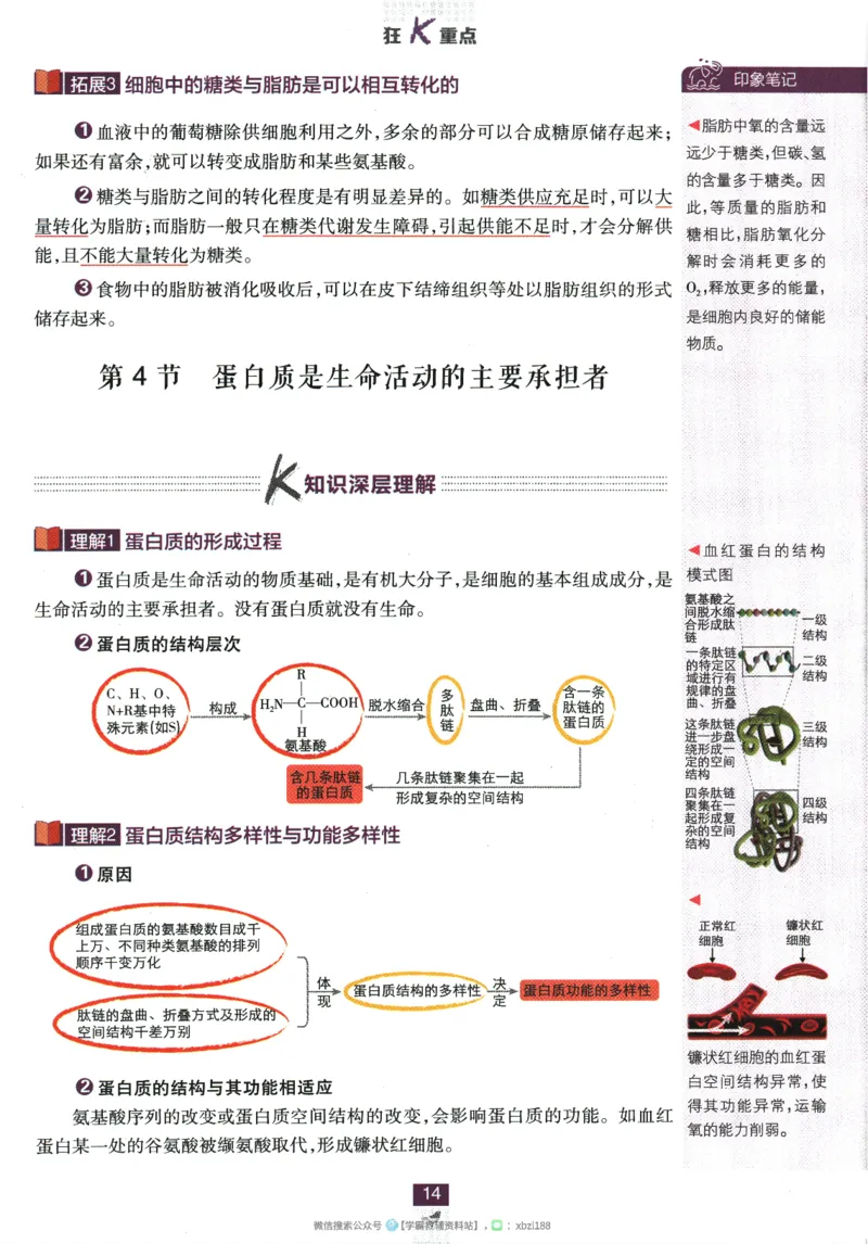 2026版《高中必刷题》生物RJ必修1狂K重点_生物_2026版高中必刷题生物人教版_2026版高中必刷题生物必修1RJ