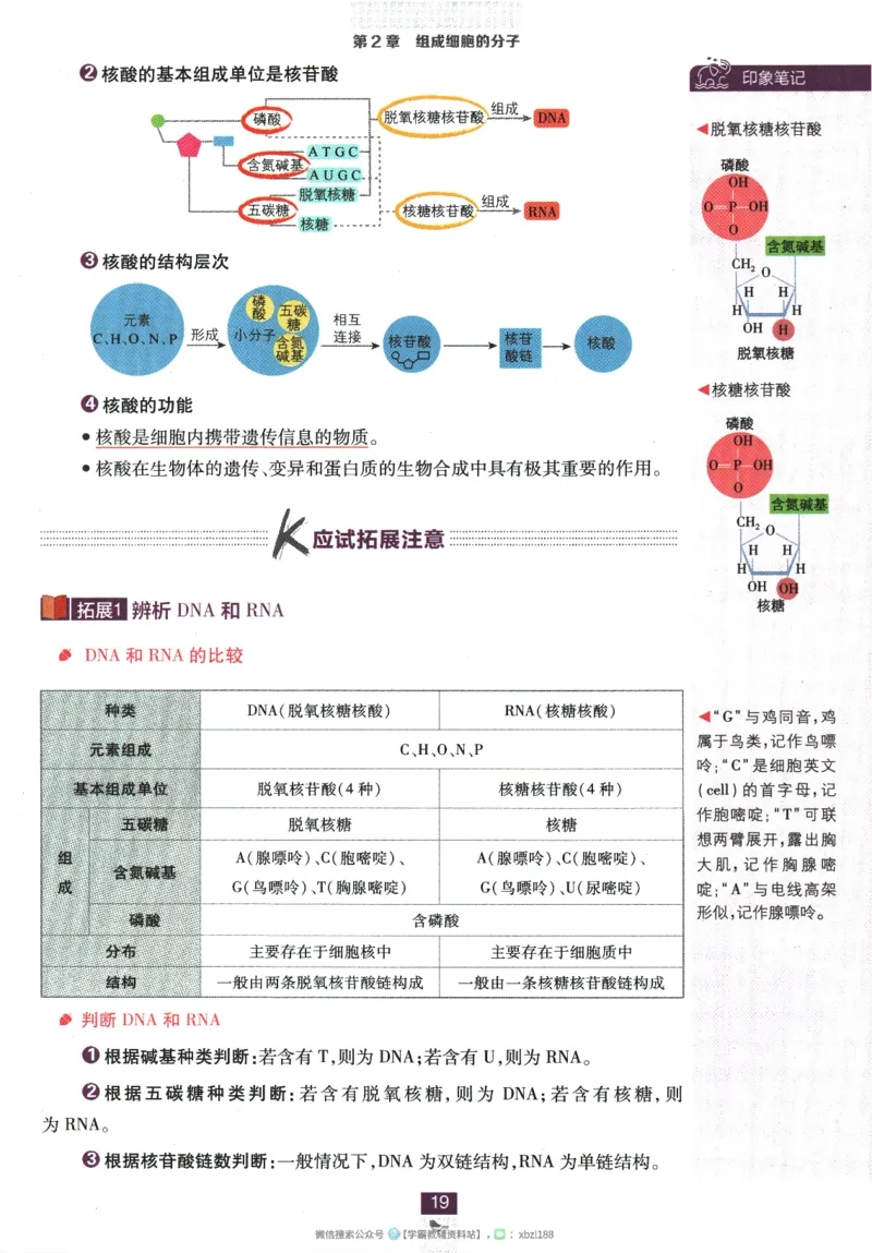 2026版《高中必刷题》生物RJ必修1狂K重点_生物_2026版高中必刷题生物人教版_2026版高中必刷题生物必修1RJ