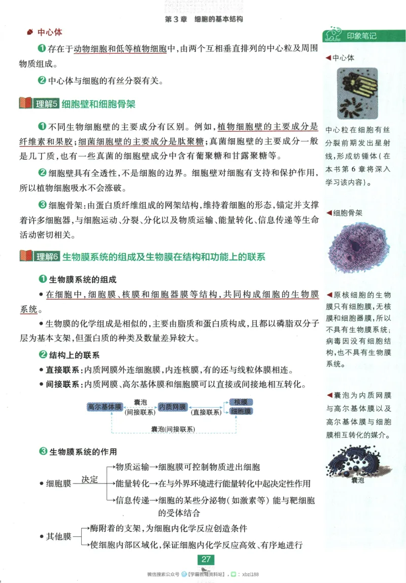 2026版《高中必刷题》生物RJ必修1狂K重点_生物_2026版高中必刷题生物人教版_2026版高中必刷题生物必修1RJ