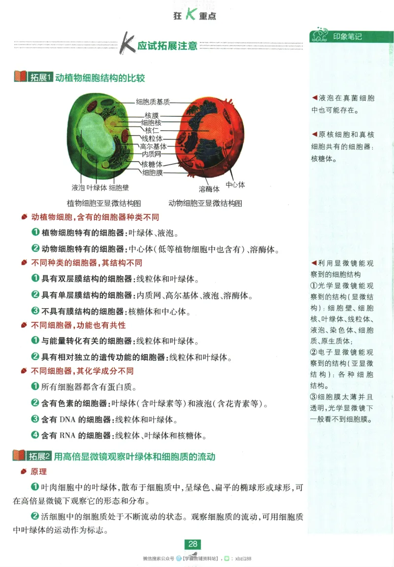 2026版《高中必刷题》生物RJ必修1狂K重点_生物_2026版高中必刷题生物人教版_2026版高中必刷题生物必修1RJ