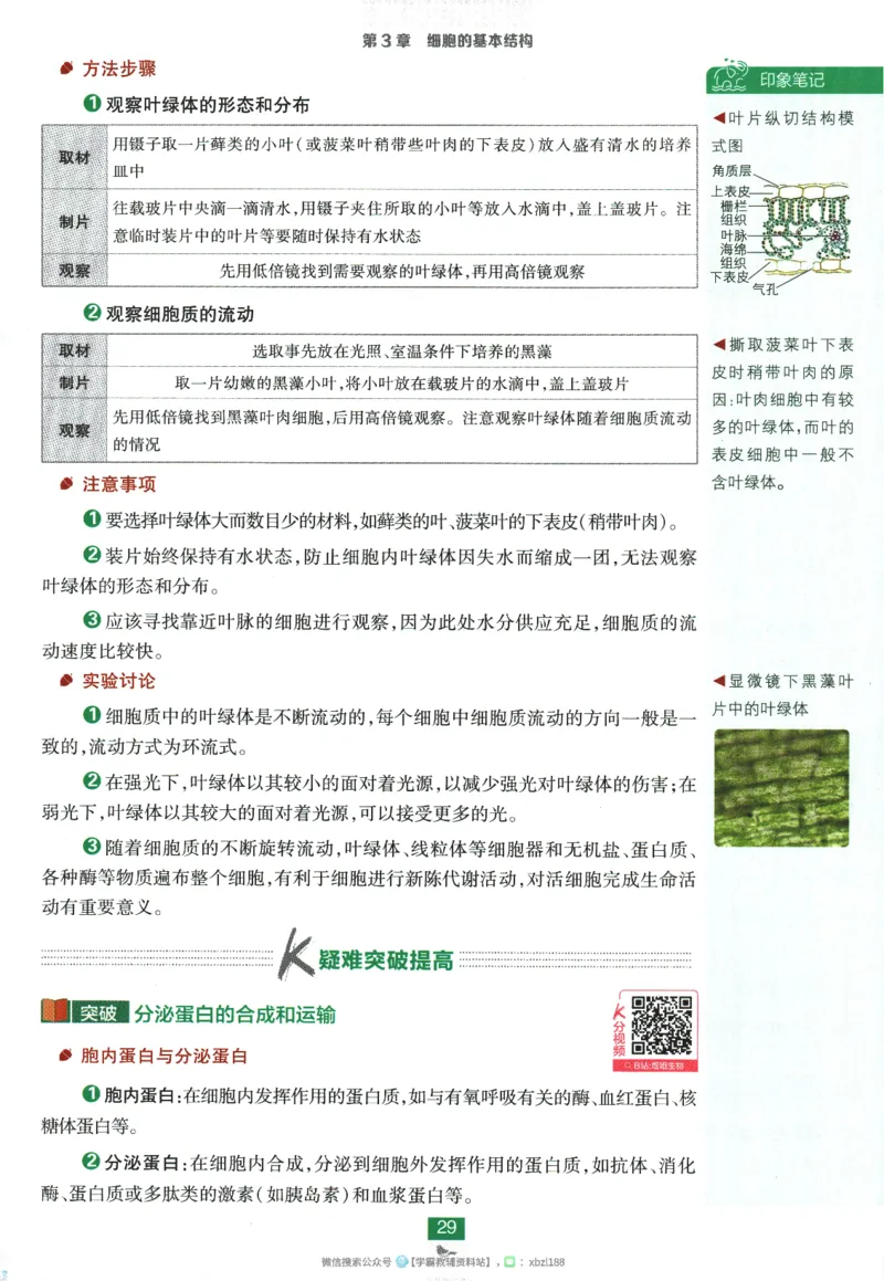 2026版《高中必刷题》生物RJ必修1狂K重点_生物_2026版高中必刷题生物人教版_2026版高中必刷题生物必修1RJ