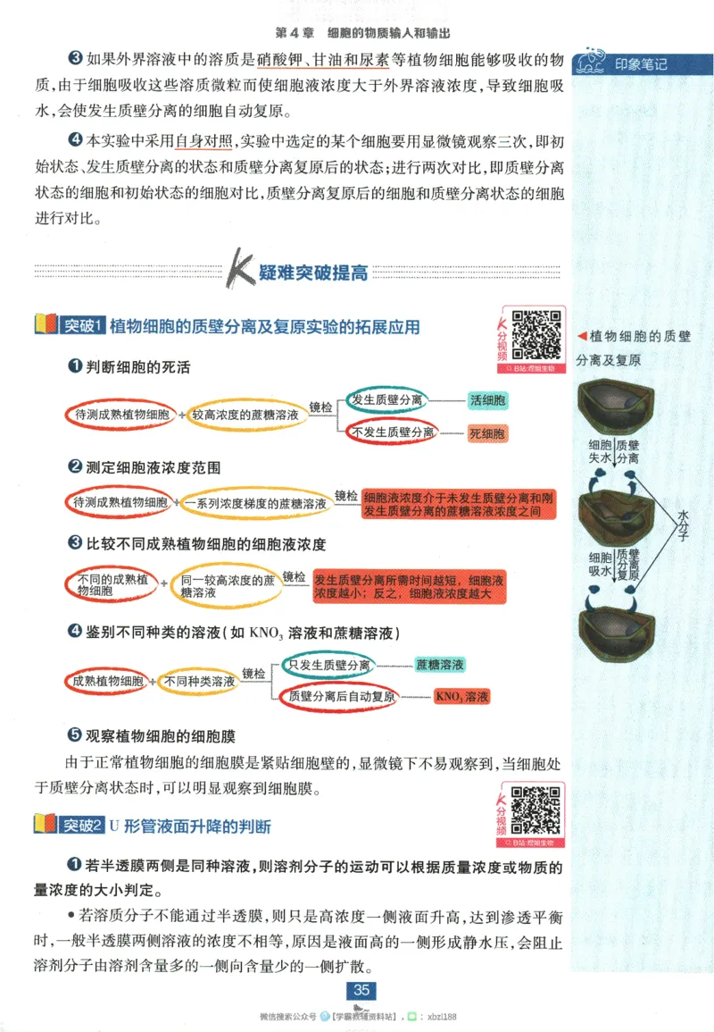 2026版《高中必刷题》生物RJ必修1狂K重点_生物_2026版高中必刷题生物人教版_2026版高中必刷题生物必修1RJ