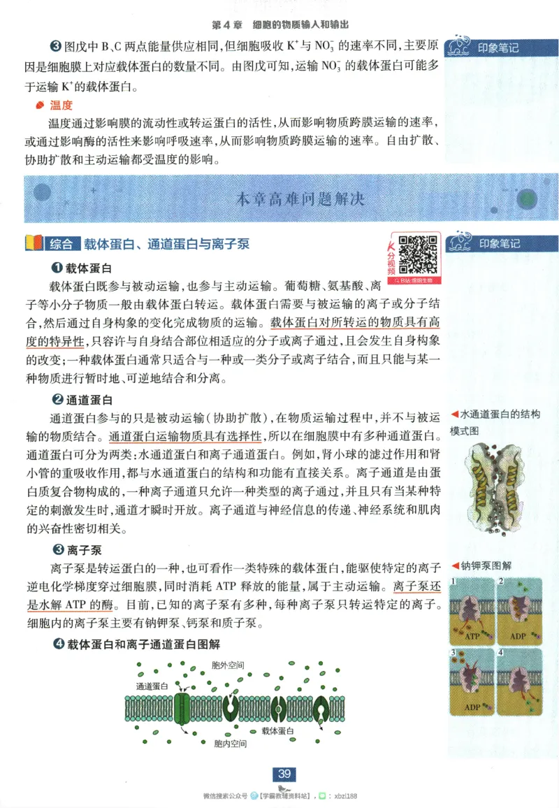 2026版《高中必刷题》生物RJ必修1狂K重点_生物_2026版高中必刷题生物人教版_2026版高中必刷题生物必修1RJ