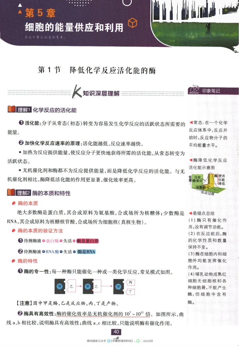 2026版《高中必刷题》生物RJ必修1狂K重点_生物_2026版高中必刷题生物人教版_2026版高中必刷题生物必修1RJ