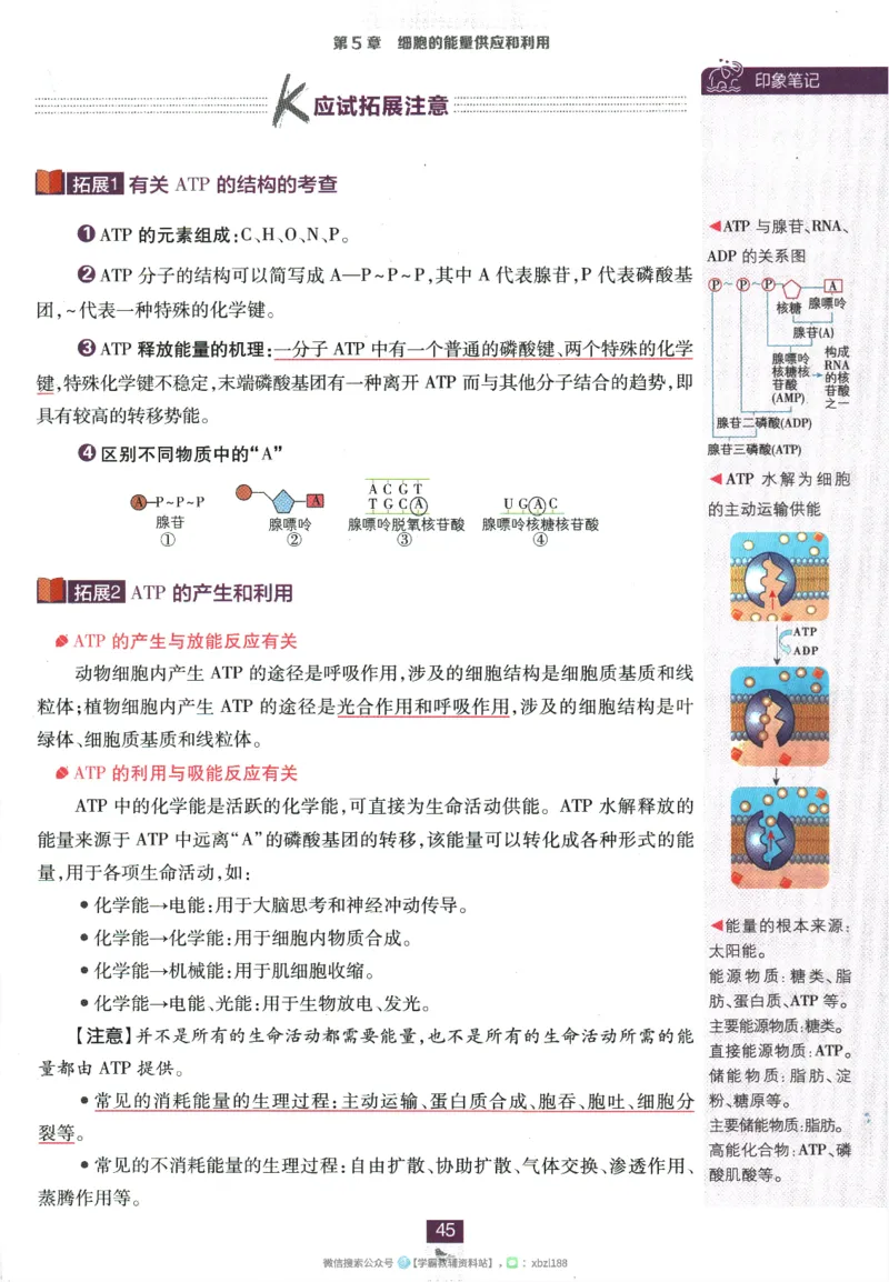 2026版《高中必刷题》生物RJ必修1狂K重点_生物_2026版高中必刷题生物人教版_2026版高中必刷题生物必修1RJ