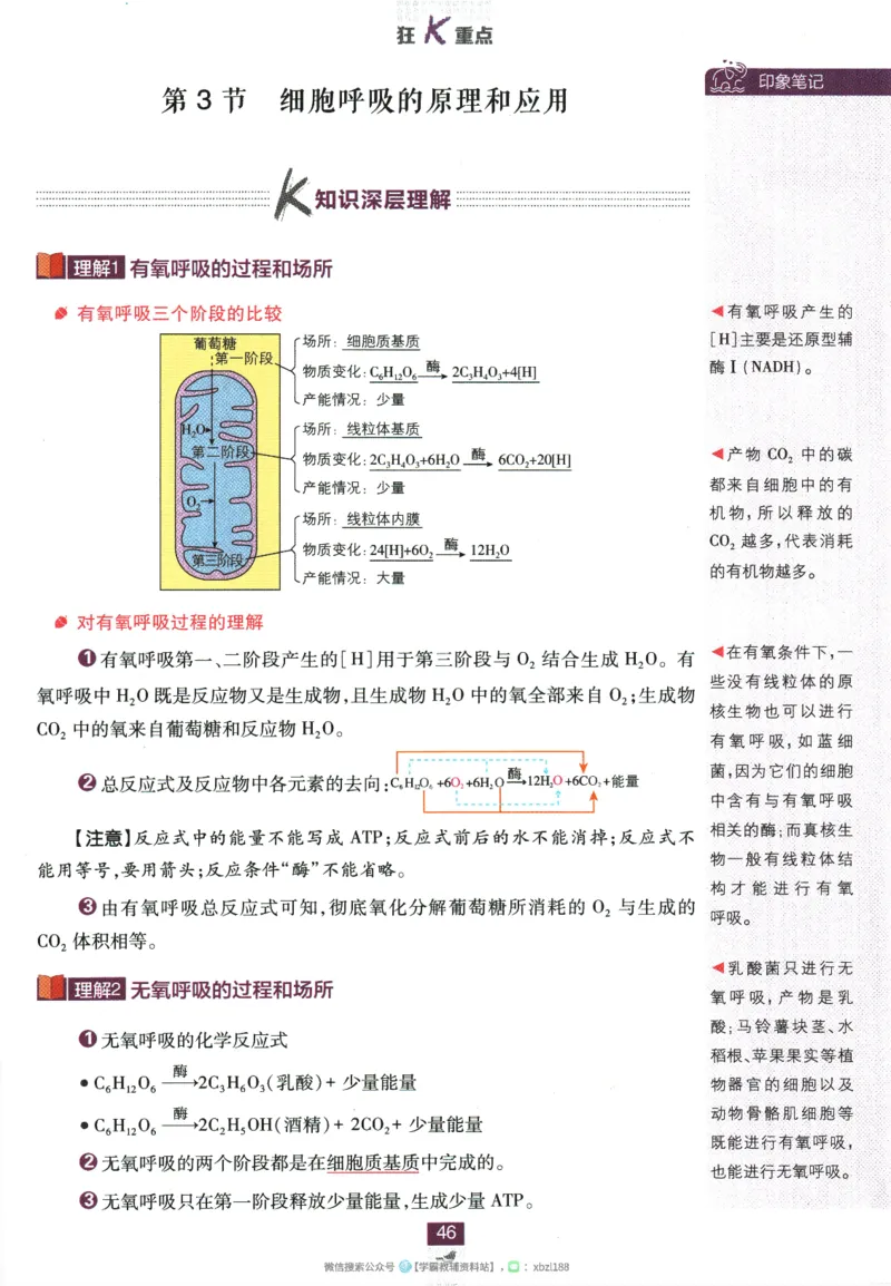 2026版《高中必刷题》生物RJ必修1狂K重点_生物_2026版高中必刷题生物人教版_2026版高中必刷题生物必修1RJ