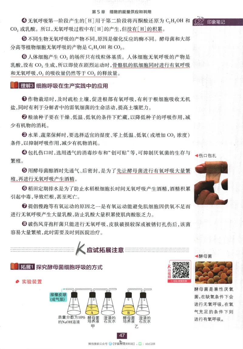 2026版《高中必刷题》生物RJ必修1狂K重点_生物_2026版高中必刷题生物人教版_2026版高中必刷题生物必修1RJ