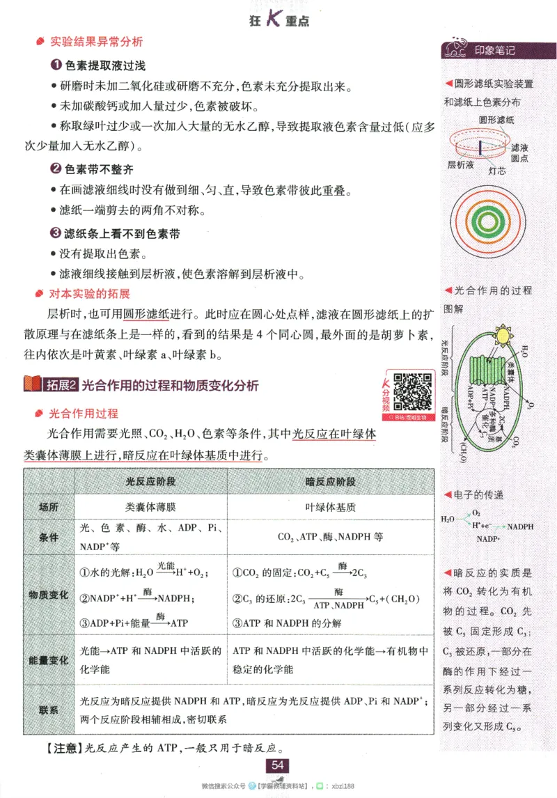 2026版《高中必刷题》生物RJ必修1狂K重点_生物_2026版高中必刷题生物人教版_2026版高中必刷题生物必修1RJ