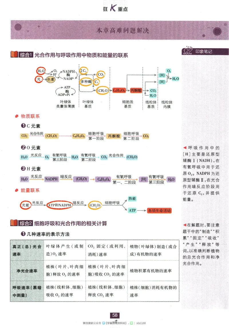 2026版《高中必刷题》生物RJ必修1狂K重点_生物_2026版高中必刷题生物人教版_2026版高中必刷题生物必修1RJ