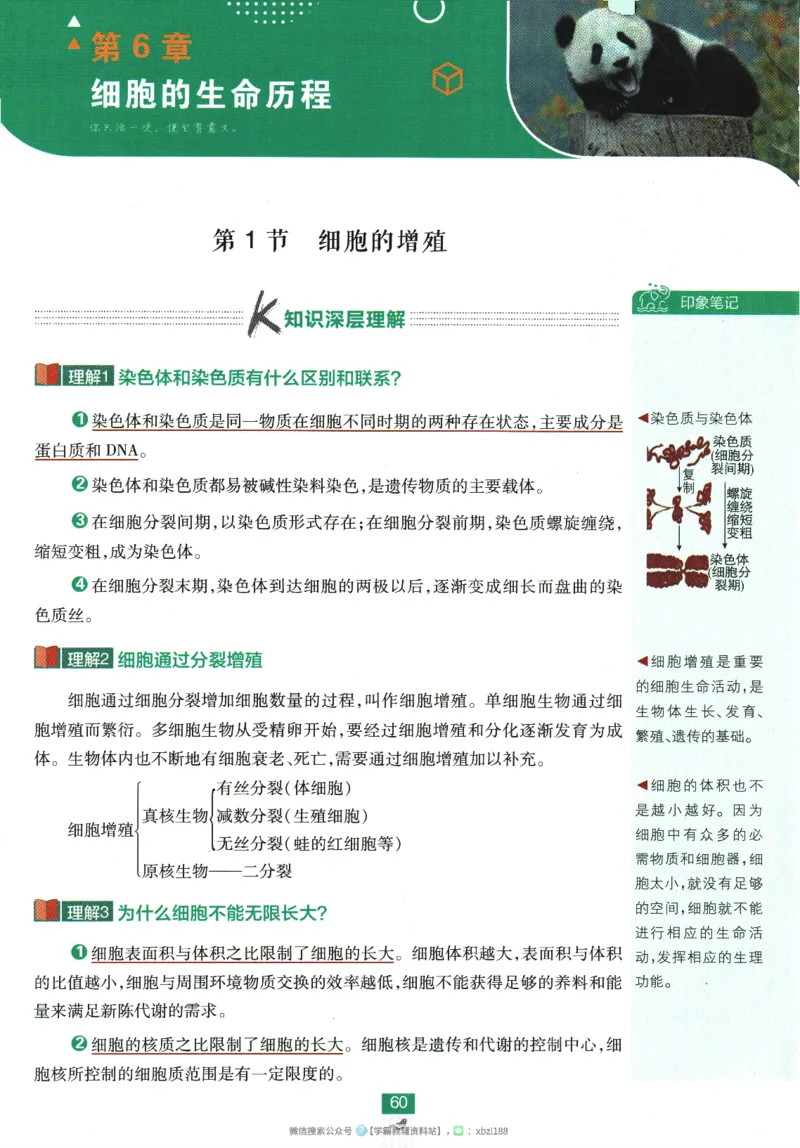 2026版《高中必刷题》生物RJ必修1狂K重点_生物_2026版高中必刷题生物人教版_2026版高中必刷题生物必修1RJ