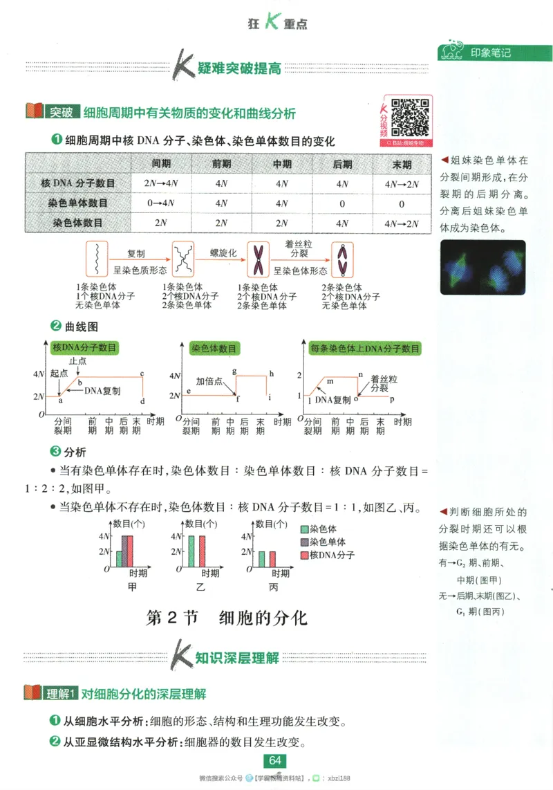 2026版《高中必刷题》生物RJ必修1狂K重点_生物_2026版高中必刷题生物人教版_2026版高中必刷题生物必修1RJ