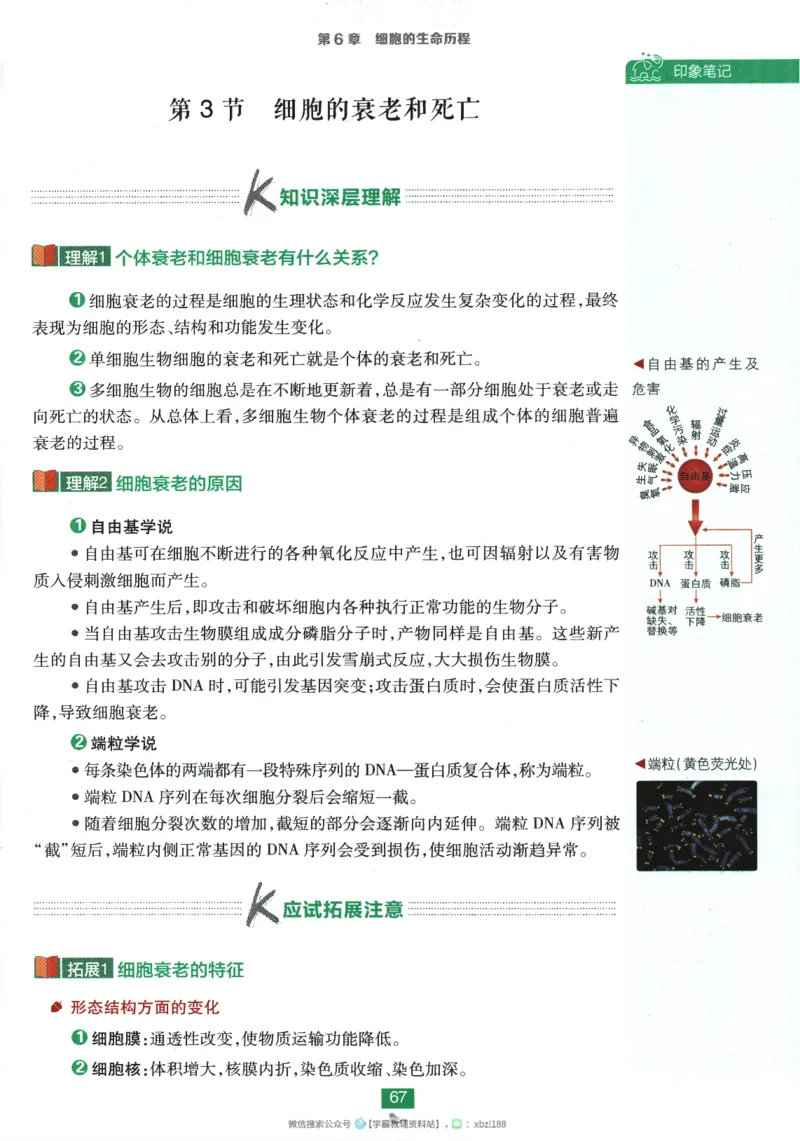 2026版《高中必刷题》生物RJ必修1狂K重点_生物_2026版高中必刷题生物人教版_2026版高中必刷题生物必修1RJ