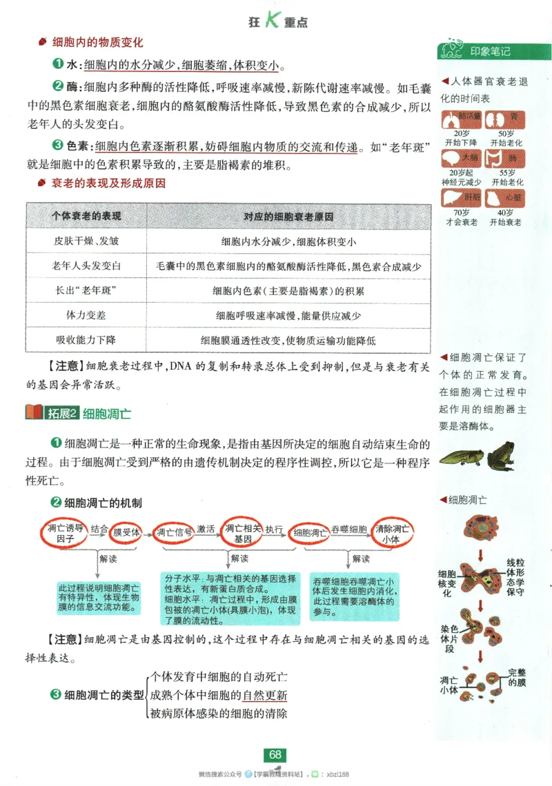 2026版《高中必刷题》生物RJ必修1狂K重点_生物_2026版高中必刷题生物人教版_2026版高中必刷题生物必修1RJ