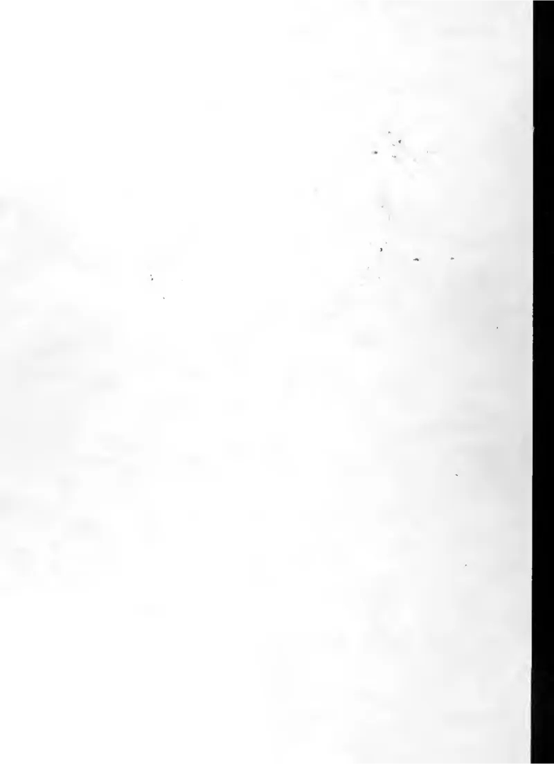 施密特_一万首著名钢琴曲谱哈农贝多芬合集视频教学电子版高清无水印可打印_09钢琴教材合集_常用教材钢琴谱（80+本）