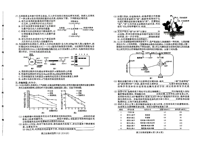 高三生物_2024年4月_01按日期_11号_2024届河北省保定市高三第一次模拟考试_河北省保定市、邢台市2024年高三第一次模拟考试生物