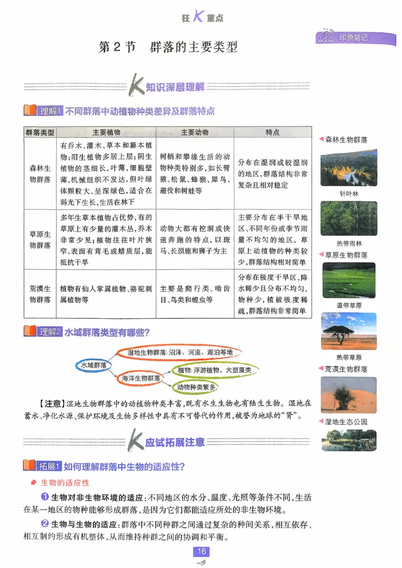 狂k重点生物选修2_生物_2026版高中必刷题生物人教版_2026春高中必刷题生物必修2RJ