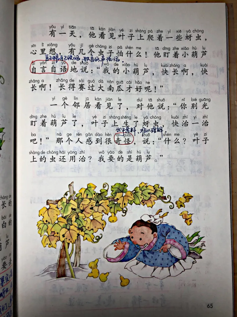 小学二年级上册上学期-部编版语文：我要的是葫芦预习笔记_小学1-6年级全部试卷_语文_二年级_3-7-1、小学二年级语文上册_3-7-1-1、复习、知识点、归纳汇总_部编版