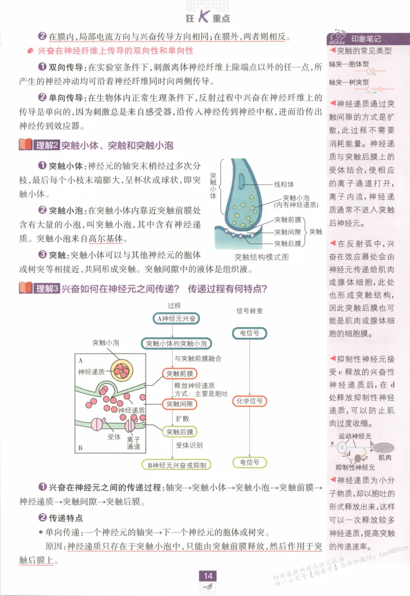 狂K重点_生物_2026版高中必刷题生物人教版_2026版高中必刷题生物选修1RJ(1)
